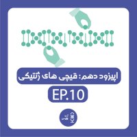 Zhen 10teh | Ghichi Hai Zhenetiki