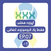 Zhen 7teh | Feghet Ik Kerevemevezevem Azafi