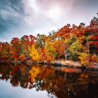  پادکست Relaxing Meditation music (3D sound effect 🎧)