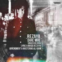 آهنگ Dare Mire