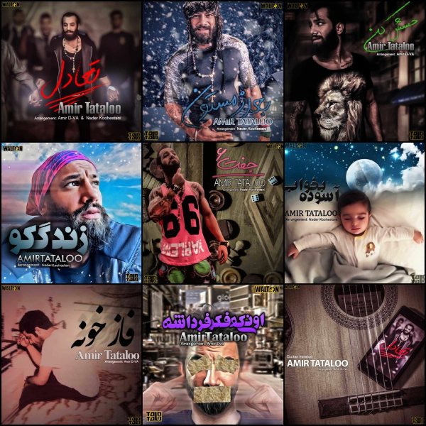 Shomareh 6