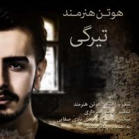 هوتن هنرمند تیرگی