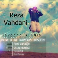 Javoone Bikhial (Kawoos Hosseini Remix) track