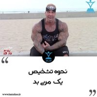 Neheveh Teshekhis Ik Merebi Bed (nesekheh Hevesh Aretificial)
