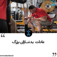 Adat Bedenesazan Bezereg (nesekheh Hevesh Aretificial)