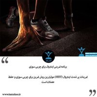 Show Temerini Ainetereval for Cherebi Sevezi (nesekheh Hevesh Aretificial)