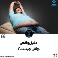 Delil Vaghi Chaghi Chiset؟ (nesekheh Hevesh Aretificial)
