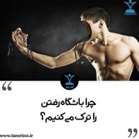 Chera Bashegah Refeten ra Terek Mi Kenim؟ (nesekheh Hevesh Aretificial)