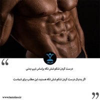  درست کردن شکم شش تکه براساس تیپ بدنی (نقشه قدم به قدم)