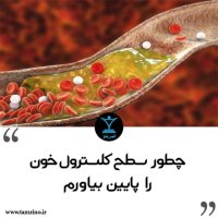 چطور سطح کلسترول خون را پایین بیاورم؟