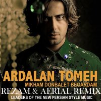 Ardalan Tomeh I Want to Look for You (Remix)