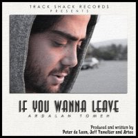 If You Wanna Leave