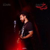 ادوین قلب منی