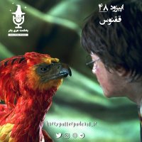  پادکست اپیزود چهل و هشتم - ققنوس