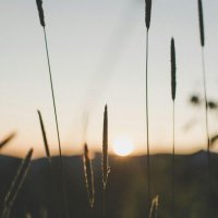 Breathe - Chris Snelling