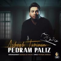 پدرام پالیز عاشق ترینم