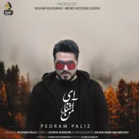 پدرام پالیز ای آشنای من