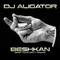 آهنگ Beshkan