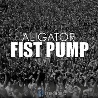 آهنگ Fist Pump (Clean Radio Mix)