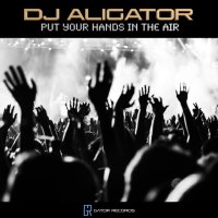 آهنگ Put Your Hands In The Air