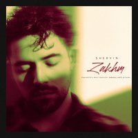 آهنگ شروین حاجی‌ پور زخم (آنپلاگد)