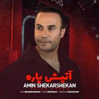 امین شکرشکن آتیش پاره