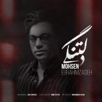 محسن ابراهیم زاده دلتنگی