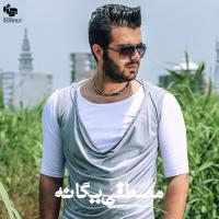 Saat Naro Jelo track