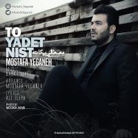 To Yadet Nist track