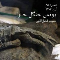 شماره هشتاد و پنجم - یونس جنگل حرا - نسیبه فضل اللهی