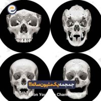 انسان خردمند؛ سفری که جهان را تسخیر کرد | مهاجرت بزرگ از آفریقا