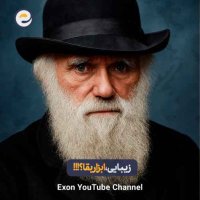 زیبایی، ابزار بقا؟ | چرا حیوانات زیبا شدن و این به تکامل ربط داره!