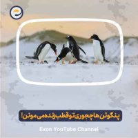 زندگی در سردترین نقطه زمین