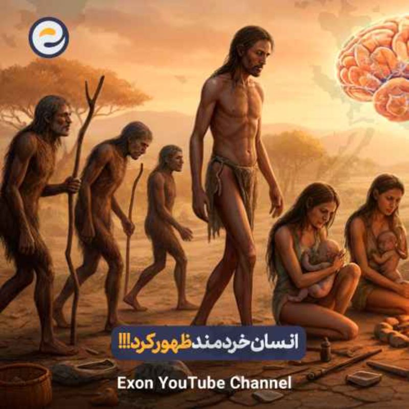 راز انسان خردمند؛ چرا ما متفاوت بودیم؟ | خروج انسان از آفریقا