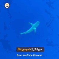 ۵ حیوانی که قوانین مرگ را زیر پا گذاشتند