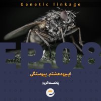  پادکست اپــیزود هشتم | پیوستگـی