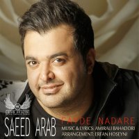 آهنگ Fayde Nadare (Remix)