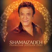 آهنگ شماعی زاده فهمیدم دوسم داری