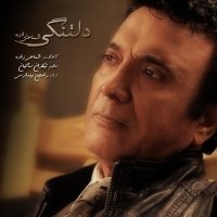 آهنگ شماعی زاده دلتنگی