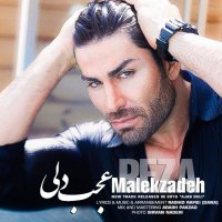 آهنگ رضا ملک زاده عجب دلی