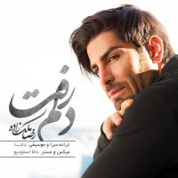 آهنگ رضا ملک زاده دلم رفت