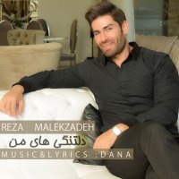 آهنگ رضا ملک زاده دلتنگی های من
