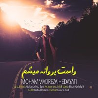 آهنگ محمدرضا هدایتی واست پروانه میشم