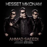 Hesset Mikonam
