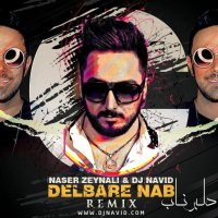 آهنگ Delbare Nab (Remix)