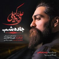 علی زندوکیلی جاده شب