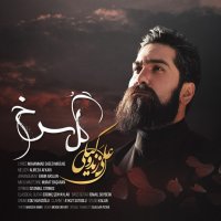 علی زندوکیلی گل سرخ