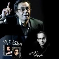 آهنگ شهرام شکوهی به رنگ شکیبایی