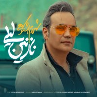 آهنگ شهرام شکوهی نازنین لیلی