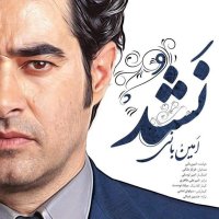 آهنگ امین بانی نشد